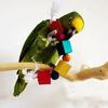 Pet Bird Parrot Wood Blocks Cotton Rope Cage Hanging Standing Play Chew Toy