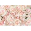 Modern Wallpaper 3d Romantic Rose Flower Mural Living Room Wall Mural Home Decor