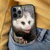 Dishwasher Possum Cute Soft Phone Case for iPhone 17 Air 16e Pro Max 15 Pro 13 14 Plus 11 12 MagSafe Magnetic Coque