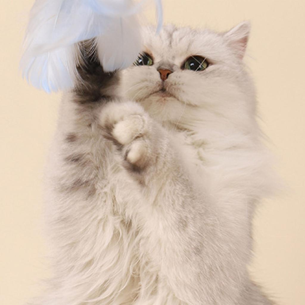 3Pcs Cat Teaser Wand Interactive Cat Feather Toy with Bell for Cat Kitten Playing Pink