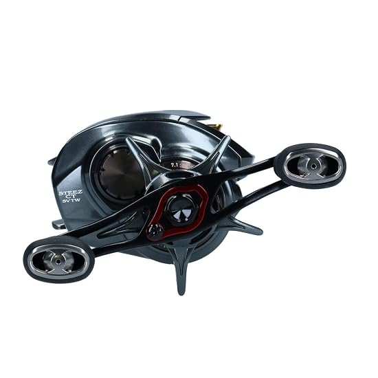 DAIWA Baitcasting Reel 19 STEEZ CT SV TW 700SH (2019 Model)