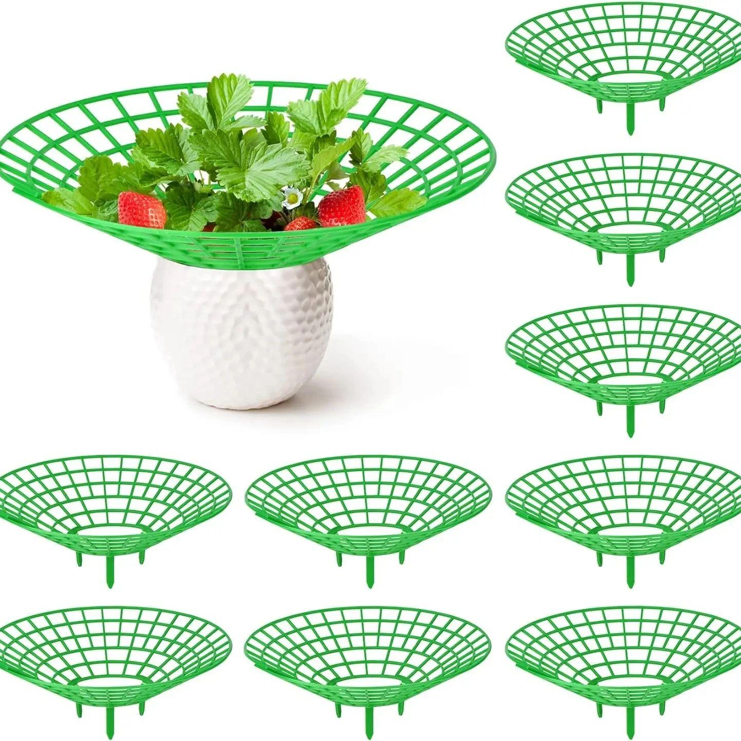 

5/10/20Pcs Strawberry Plant Supports with 3 Sturdy Legs Strawberry Growing Racks Protector Frame Holder Cage From Mold Rot Dirt 10pcs зелёный