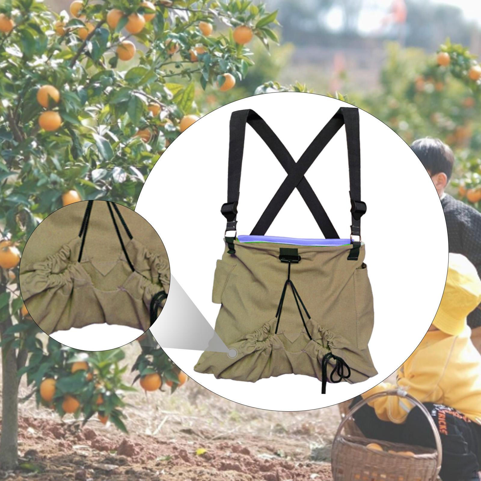 

Холщовая сумка для сбора фруктов, держатель для собирательства, для использования в саду khaki