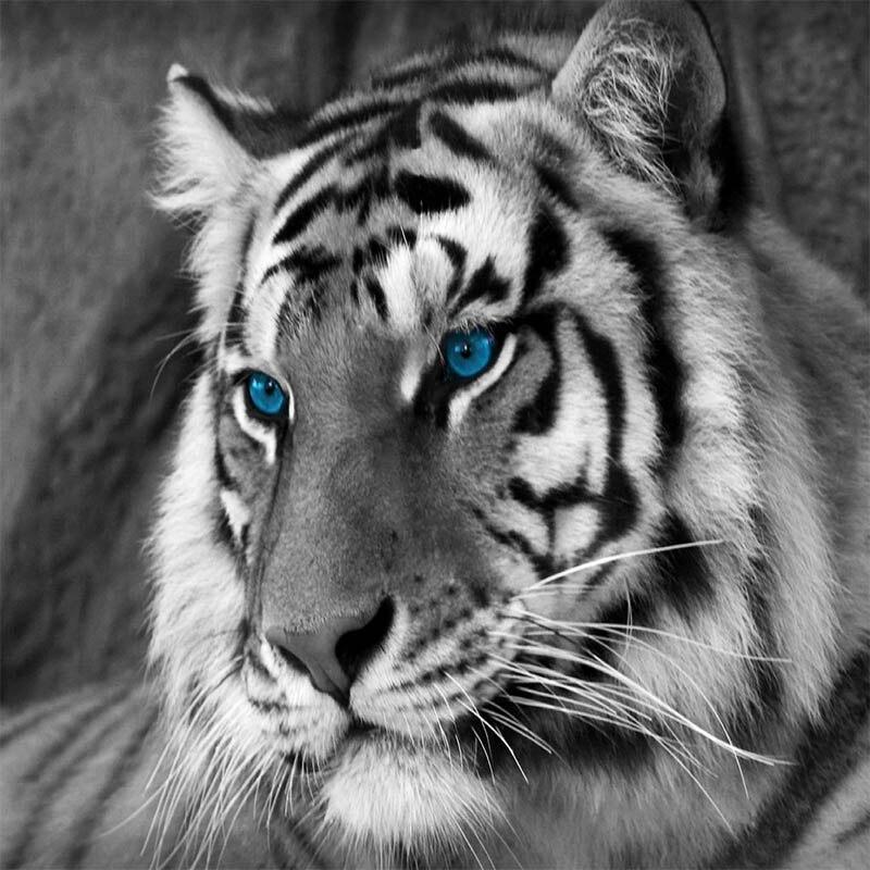 New 5D DIY Diamond Painting Tiger Diamond Embroidery Animal Cross Stitch Full Round Drill Crafts Home Decor Manual Gift