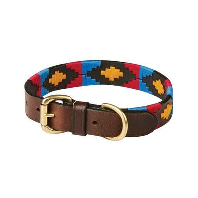 Polo Leather Dog Collar