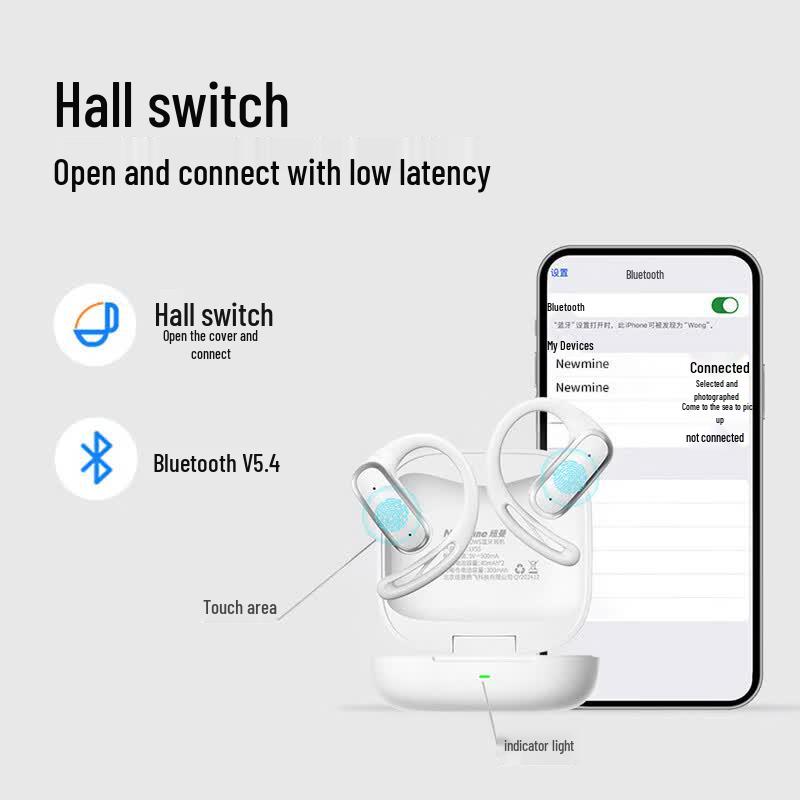 Newmine LY55 Bluetooth Earhook Sports Headphones