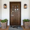Wild Animal Boar Floor Door Bath Kitchen Mat Anti-Slip Indoor  Doormat Living Room Entrance Carpet Rug