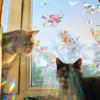 Rainbow Suncatcher Window Stickers PVC Cartoon Cat Dog Butterfly Prism Glass Wall Sticker Home Bedroom Window Decoration
