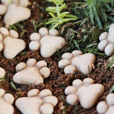 20pcs DIY Decorations Cat Claw Stone Step Lawn Decoration Bonsai Display Resin Bonsai Stone Micro-Landscape Paving Stones