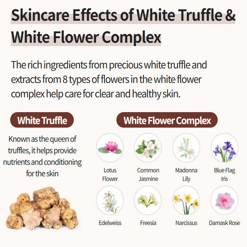 Atomy Adelica The New Gold Collagen Ampoule Cushion 14g X 2EA  BB Cushion