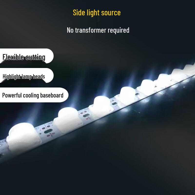 OEING 3030 Side Emitting LED Module with Lens