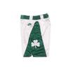 NBA 75th Anniversary SW Fan Edition Boston Celtics Colorblock Sports Straight Loose-Fit Breathable Basketball Shorts Men Bottoms White DD1592-100
