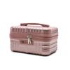 Large Capacity Cosmetic Case Fourteen Inch Handheld Luggage Makeup Box  Frequent Flyers