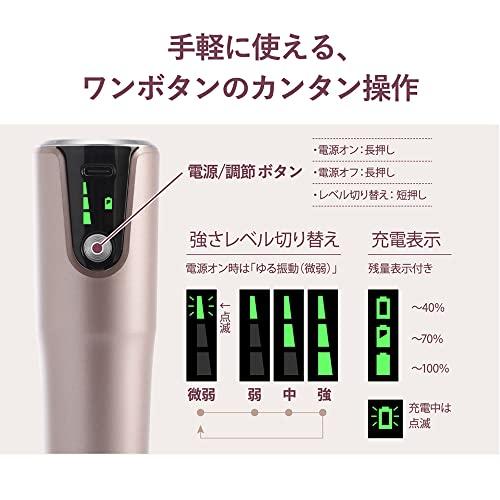 Doshisha Point Beat Handy Roller Plus, Rechargeable, Lightweight, with 5 Attachments, Champagne Gold, Momirax