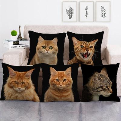 Niedliche Tierkatze Druckserie Sofa Kreativer Kissenbezug Einfaches Kissen Home Party Auto