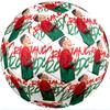 Cristiano Ronaldo Theme Soccer Ball Size 5 Soccer Ball Soft Touch Professional Training Football for Outdoor Sports