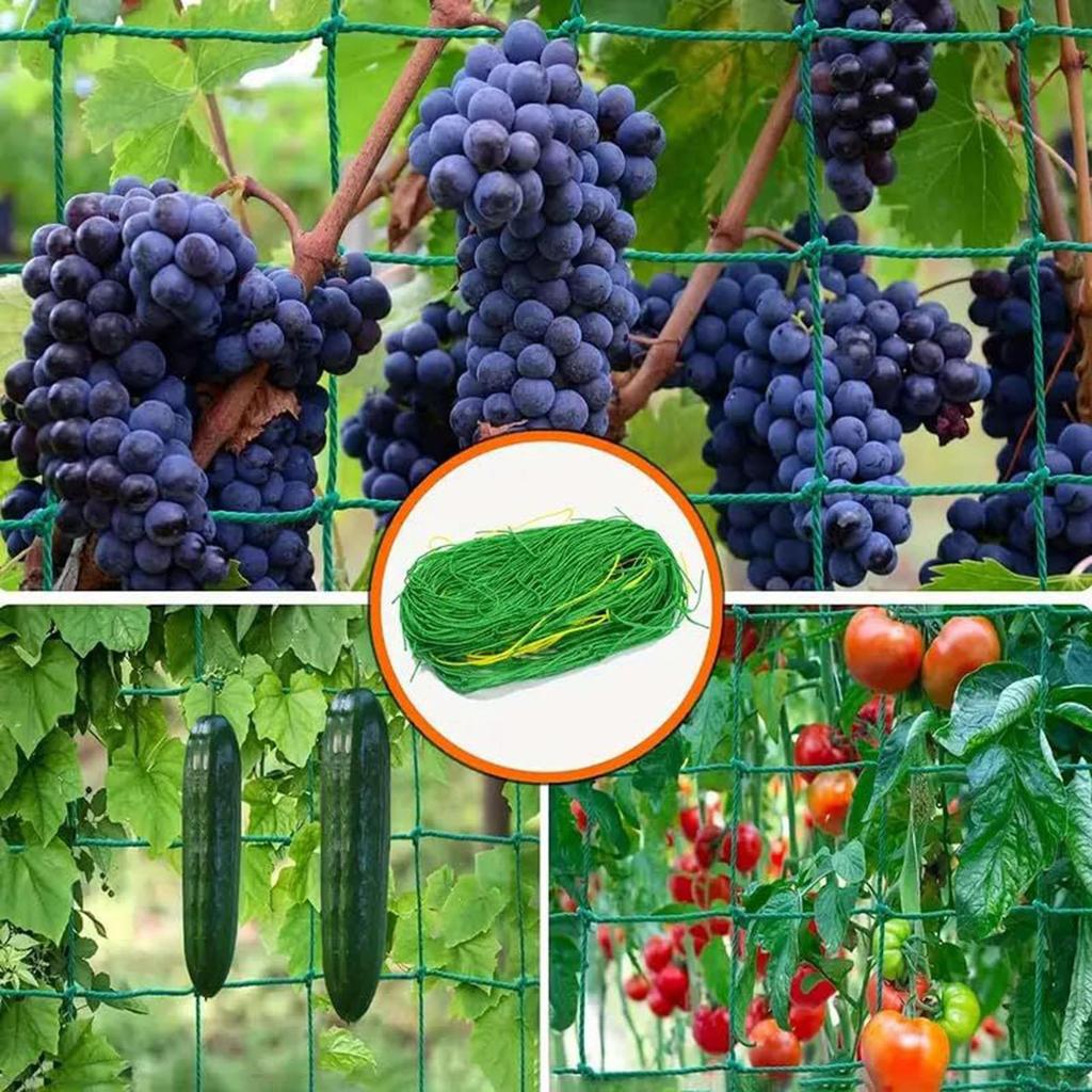 Plant Climbing Netting 2x5m Climbing Support Gardening Netting Mesh Plant Growing Trellis For Cucumber Tomato Eggplants Grapes