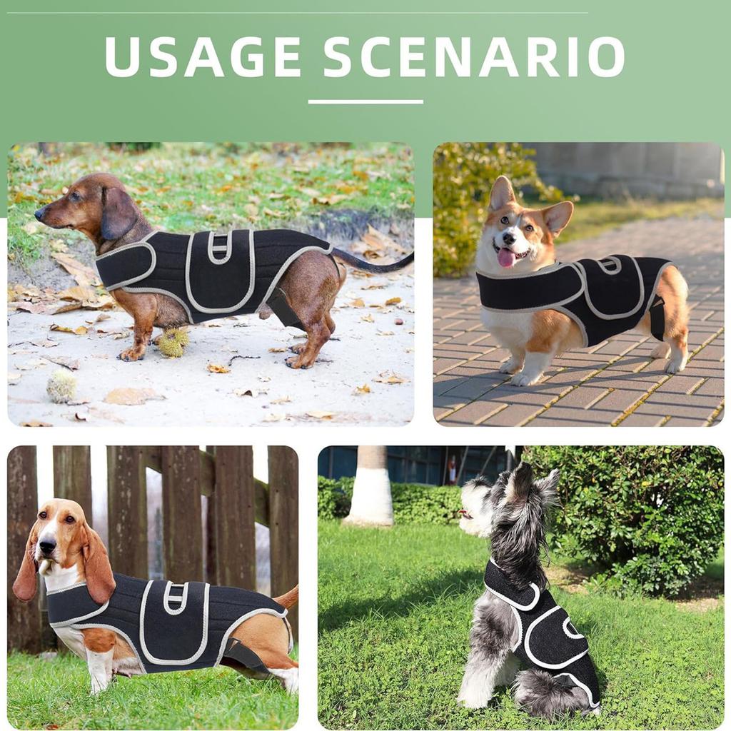 Strong Support Intervertebral Disc Dog Brace For Intervertebral Disc