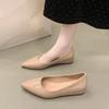 Fashion New Spring and Summer Versatile Shallow Mouth Pointed Toe Inner Heightened Single Shoes Women's Fashion Soft Sole Flat Shoes