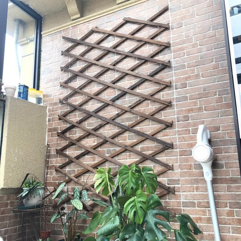 Expandable Garden Trellis with Preservative Wood for Climbing Plants