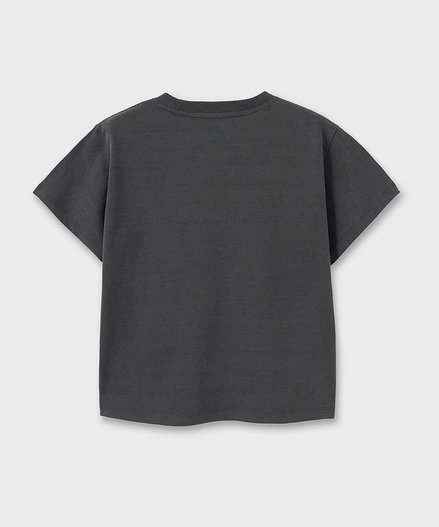 NOIRER FOR WOMAN Archive Print Crop T-Shirt (Gray)
