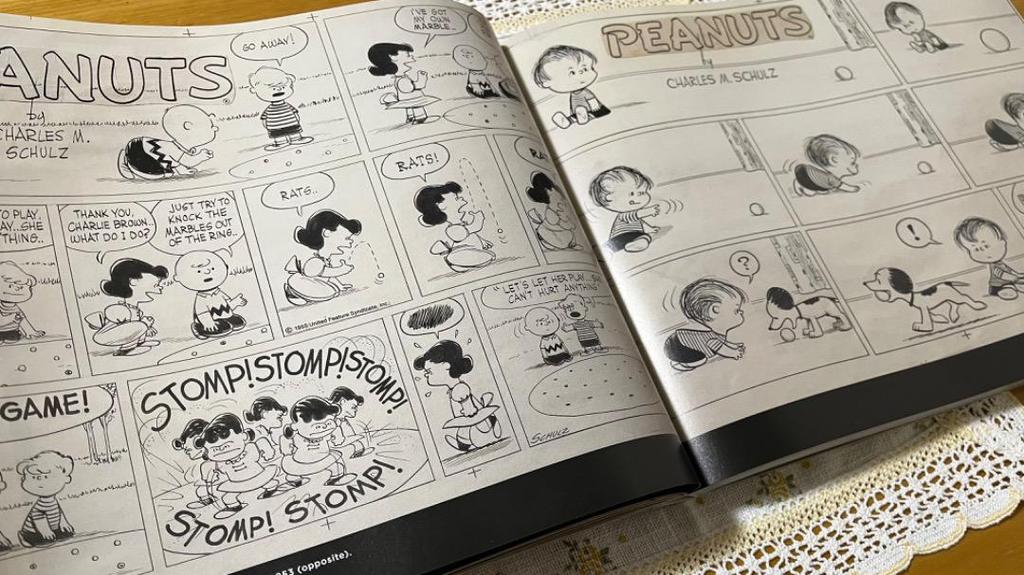 [USED] Snoopy Peanuts 65th Anniversary Art Book