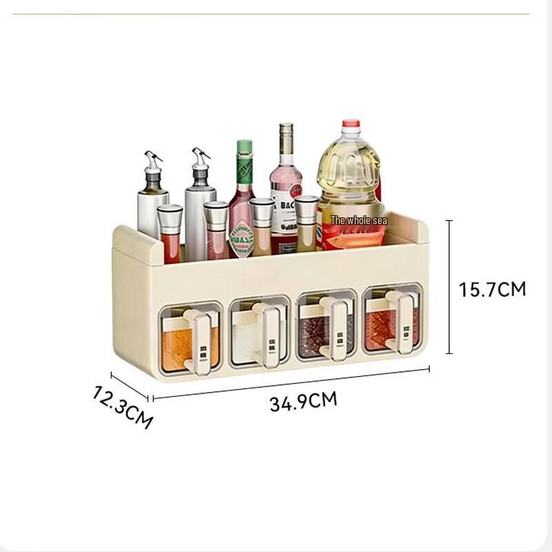 Double-Layer Wall-Mounted Spice Organizer