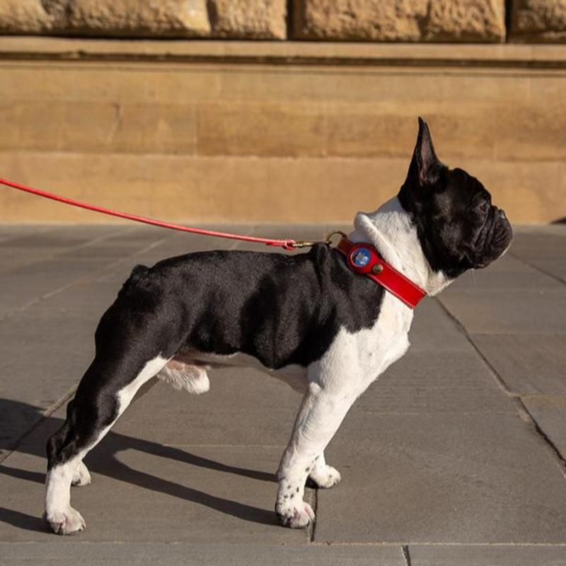 Luxus Echtes Leder Airtags Haustierhalsband Verstellbare Hundehalskette Für Welpen Mittelgroßen Hund Anti-Verlust Haustierhalsband Mit Airtag-Halter