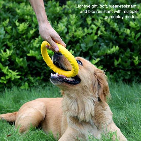 Dog Toy Lightweight Floating Pet Chew Toy Bite-resistant Interactive Dog Training Ring for Outdoor Activity