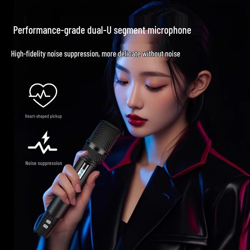 HiVi MP26 Dual 6.5-inch Portable Bluetooth Speaker (CN version)