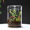 Dew Collection Mini Ecosystem: Moss Terrarium Glass Cover Decor