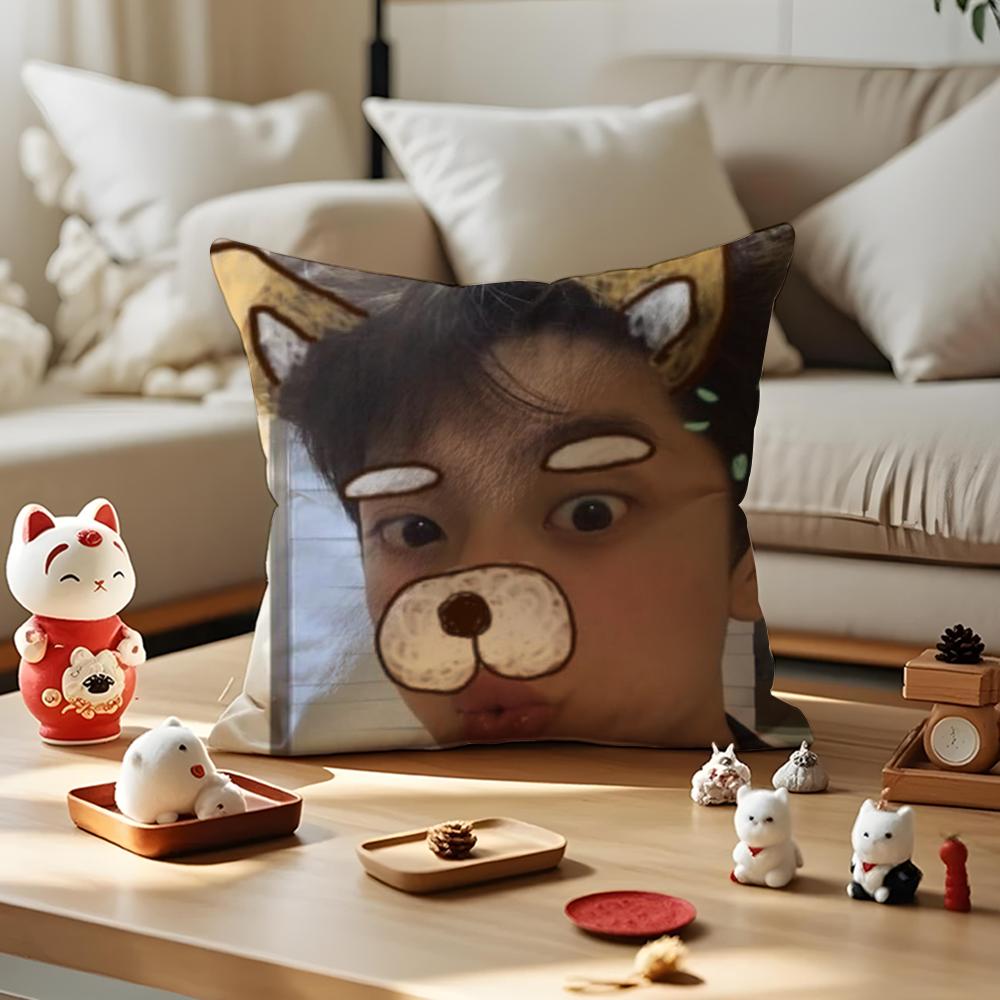 LinYi Chinese Actor Cushion Cover Anti-dustmite Pillowcase Invisible Zipper Silky Short Plush Sofa Cushion Cover