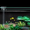 Acrylic Aquarium Fish Feeder Transparent Tube Multifunctional Large Capacity Fish Tank Food Dispenser For Aquarium Tank Shrimp