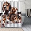 Banyo ve tuvalet – Duş Perdeleri