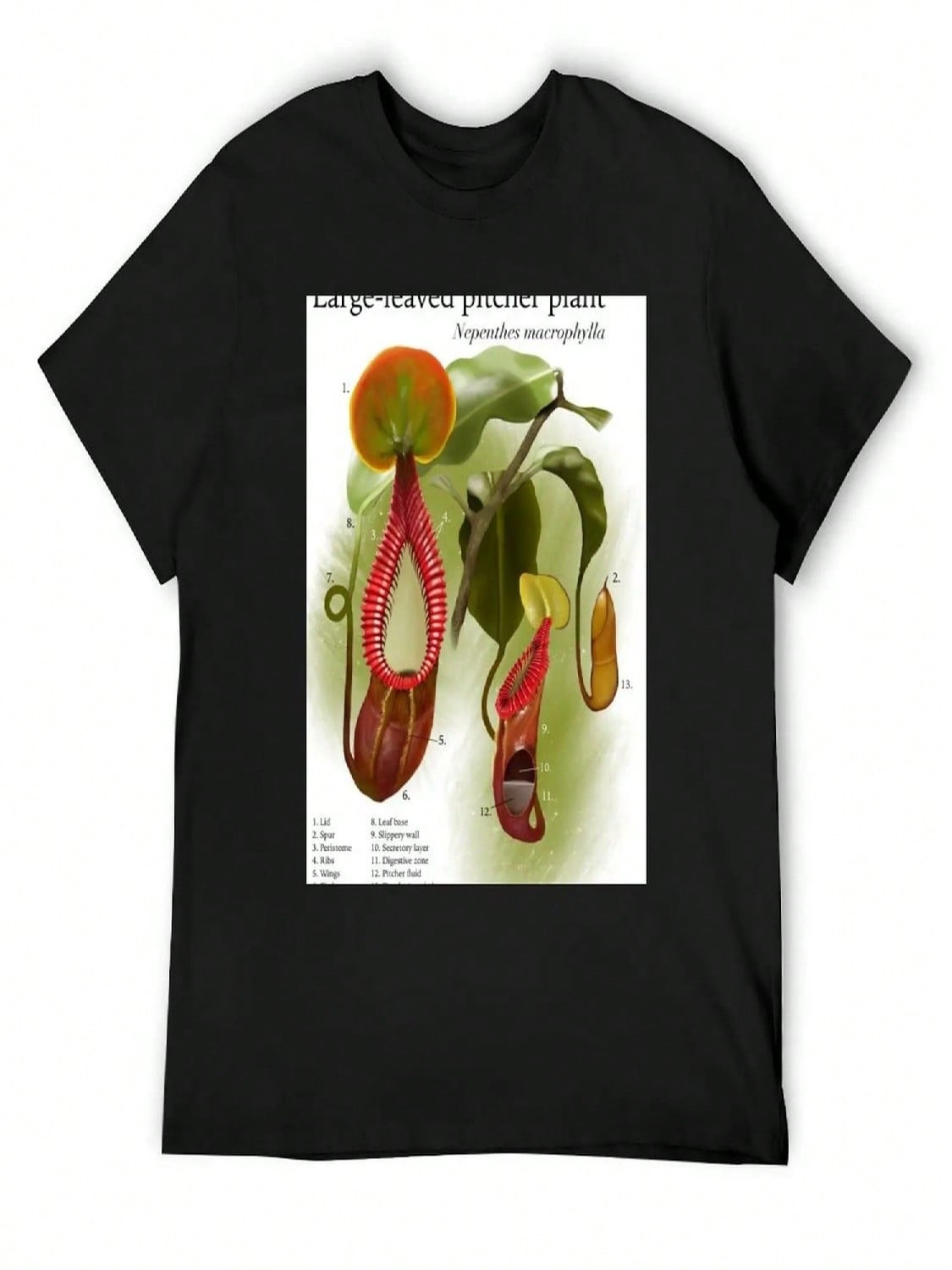 Nepenthes Macrophylla T-Shirt Custom T Shirt Designer Shirts Funny Gifts Louboutins unisex s Clothing S разноцветный