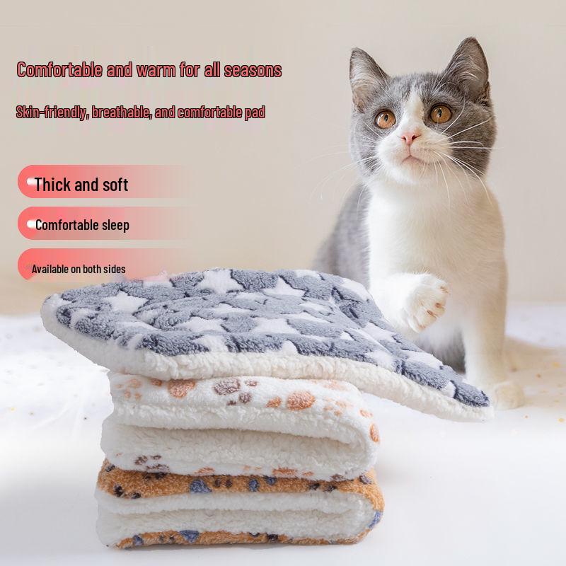 Thickened Autumn & Winter Warm Pet Blanket for Cats and Dogs
