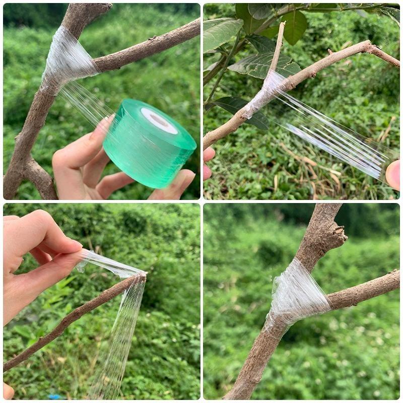 100m in Length Width 20/30mm Stretchable Self-adhesive PE Grafting Tape Film and Multi-functional Gardening Plant Seedling Pruning Shear