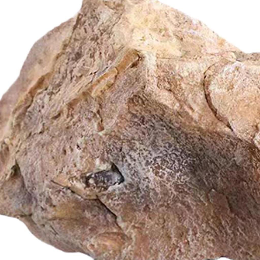 Umělý krajinný kámen, simulovaný kámen, trávník, dekorativní, umělý kámen