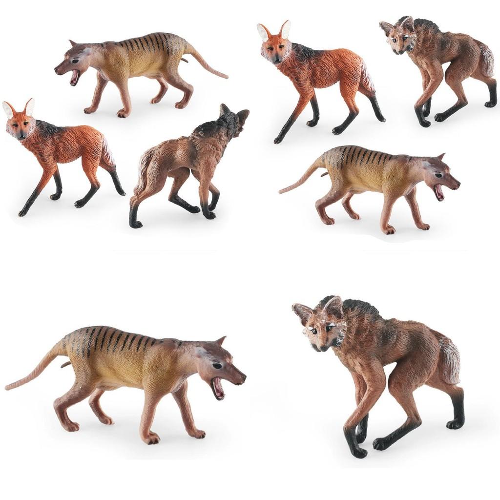 Realistic Wolf Sculpture With Plastic Construction For Classroom Teaching And Kids Play