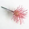 Beautifully Crafted Mini Artificial Succulents For Lifelike Home Office Decor