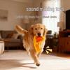 Durable Cotton Rope and Chew Toy Set for Small to Medium Dogs