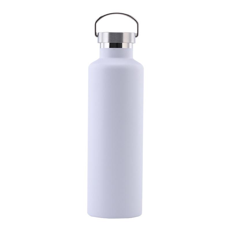 Stainless Steel Water Bottle with Handle Lid, Double Wall Vacuum Insulated Bottle for Sports Hiking Gym