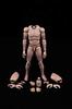 Neinei Male Action Figure Body Set [Tbmodel] 1/6 MX02-A