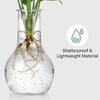Desktop Hydroponic Vase Home Decorative Plant Cultivation Bottles Office Green Plant Rooting Container Flower Arrangement Vase