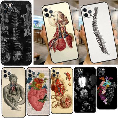 Coque de téléphone médicale d'anatomie humaine pour iPhone 11 12 13 Pro Max 13 Mini X XR XS Max 7 8 Plus Coque arrière en silicone