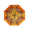 Aurora Dream Space Silk Scarf and Art Umbrella Set