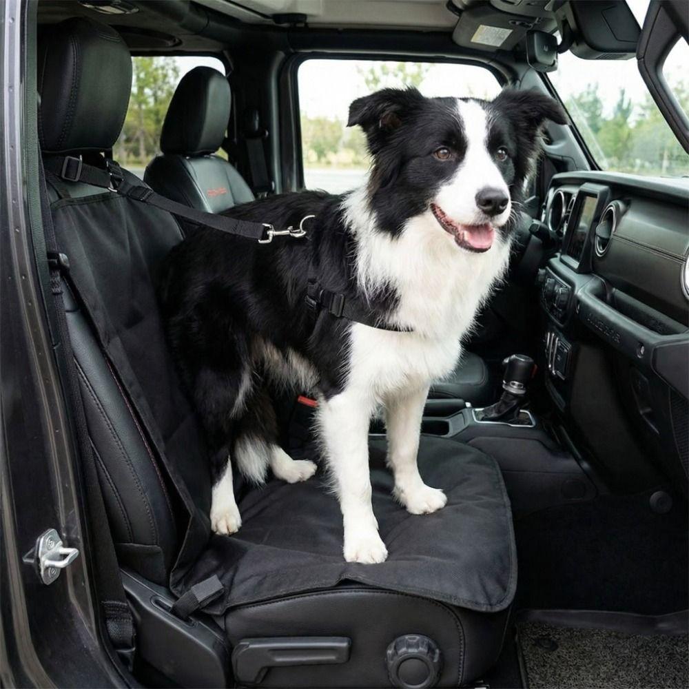 Waterproof Pet Car Travel Set Adjustable Secure Restraint Leash Carrying Rear Seat Cover  Vet Visit