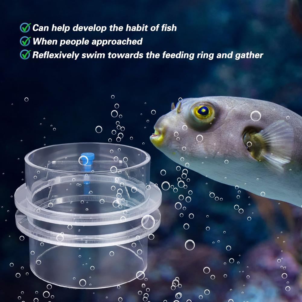 Transparent Acrylic Aquarium Fish Feeder Fish Tiepiece Feeding