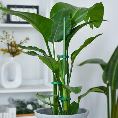 Aménagement du jardin – Support pour plantes