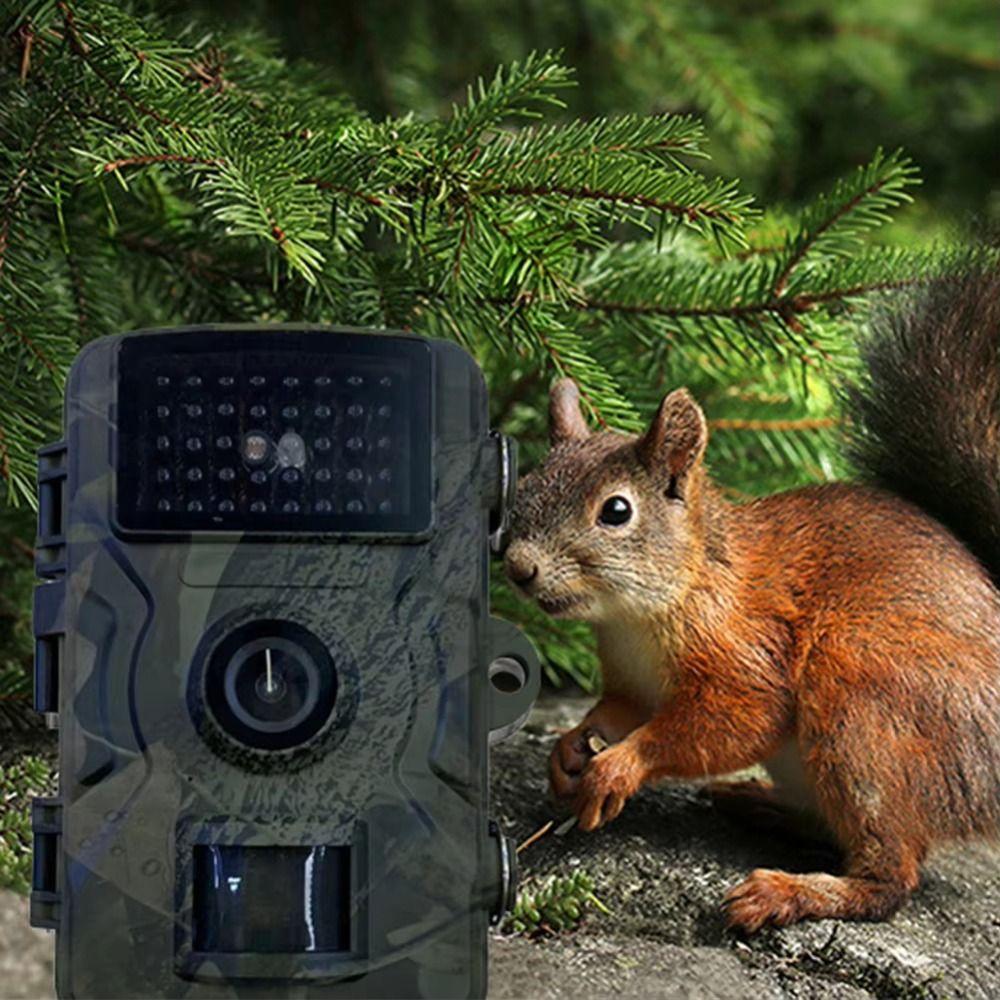 IP66 Waterproof Infrared Night Vision Camera Motion Activated Wildlife Camera  Scouting
